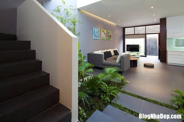 Khi chủ nhà muốn có không gian sống xanh, đơn giản và tiết kiệm chi phí