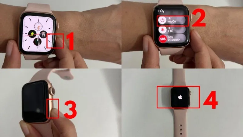 Cách khắc phục lỗi Apple Watch lên táo rồi tắt hiệu quả nhất