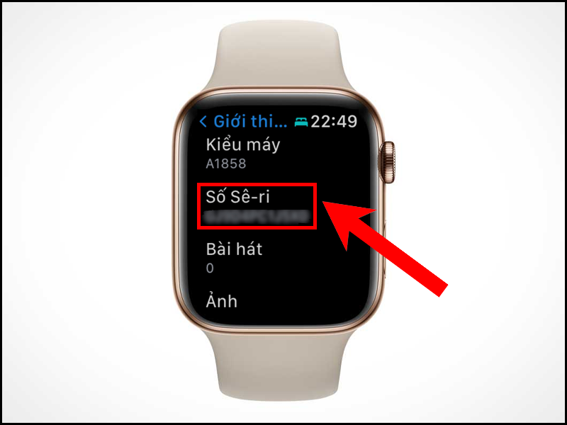 Cách kiểm tra Apple Watch của nước nào chính xác nhất