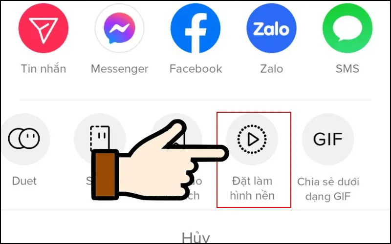 Cách lấy video Tiktok làm hình nền có nhạc cực dễ, ai cũng làm được