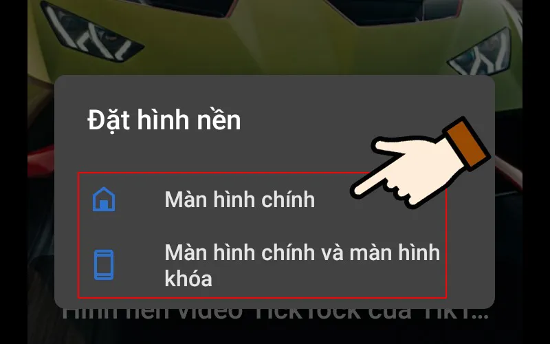 Cách lấy video Tiktok làm hình nền có nhạc cực dễ, ai cũng làm được