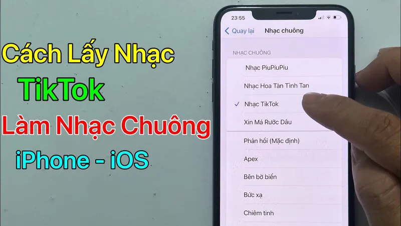 Hướng dẫn chi tiết cách tải âm thanh trên TikTok làm nhạc chuông đơn giản