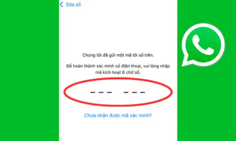 Hướng dẫn khắc phục khi WhatsApp không gửi mã xác nhận hiệu quả