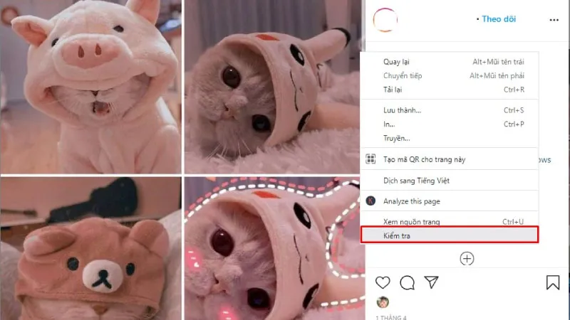 Hướng dẫn tải ảnh Instagram về máy tính cực đơn giản