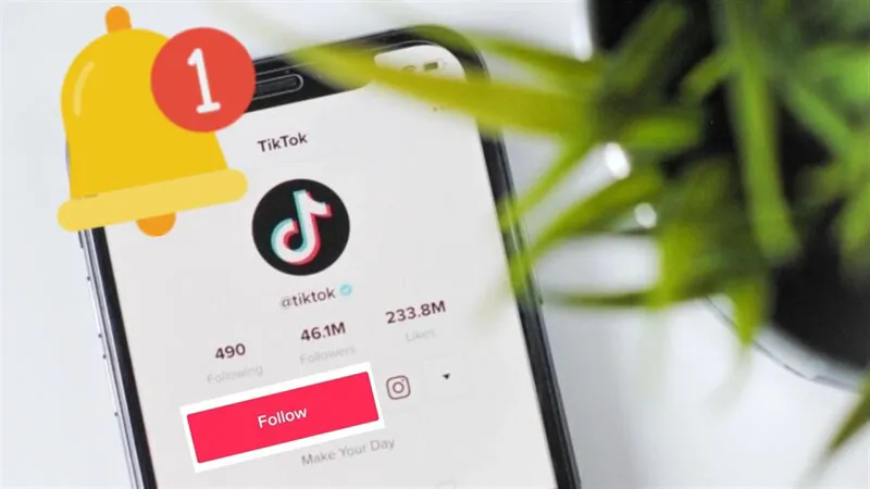 Tại sao không Follow được trên TikTok, cách để khắc phục hiệu quả nhất